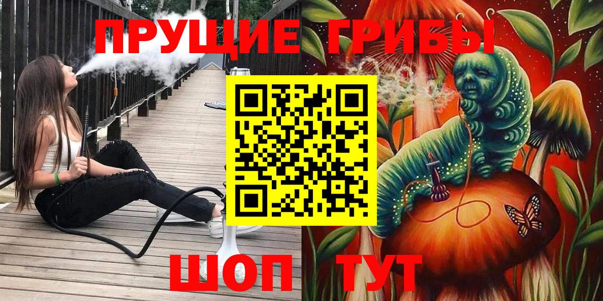 Псилоцибиновые грибы Cubensis  Вход с VPN  Баксан 
